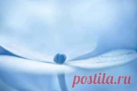 there are some days when no matter what I say it feels like I'm far away in another country &amp; whoever is doing the translating has had far too much to drink... | Flickr - Photo Sharing!