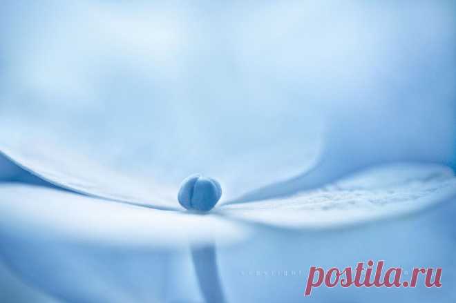 there are some days when no matter what I say it feels like I'm far away in another country & whoever is doing the translating has had far too much to drink... | Flickr - Photo Sharing!