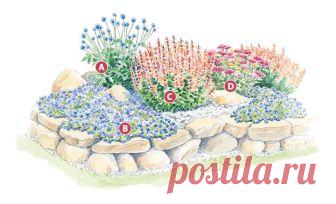 A delightfully drought-tolerant garden | Garden Gate Magazine