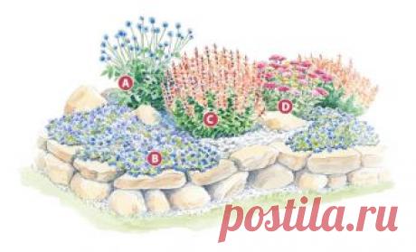 A delightfully drought-tolerant garden | Garden Gate Magazine