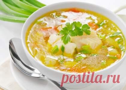 Супы - (более 1759 рецептов) с фото на Овкусе.ру