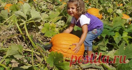 (47) Одноклассники