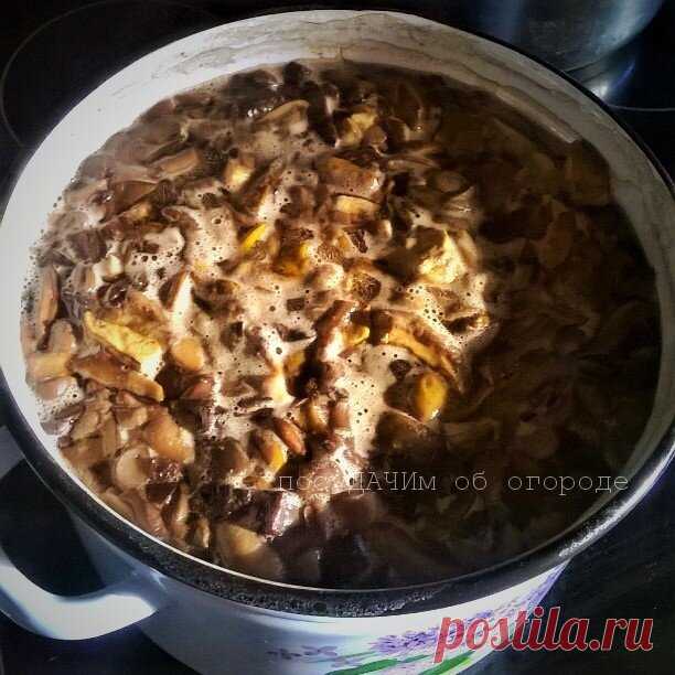 Раньше до ночи мучилась, снимая пленку с маслят. Теперь обрабатываю кучу грибов за полчаса | посуДАЧИм об огороде | Яндекс Дзен