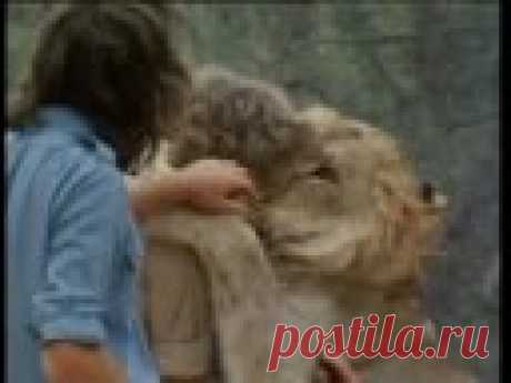 Christian the lion - Full ending