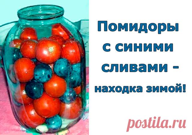 Помидоры с синими сливами - находка зимой