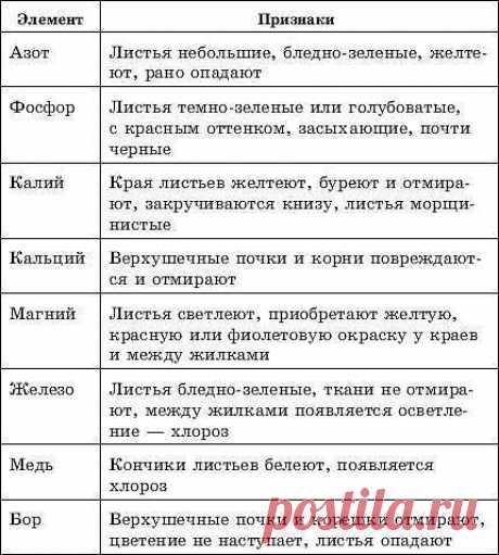 КАК ВЫРАСТИТЬ КАСКАДНУЮ ПЕТУНИЮ | Самоцветик