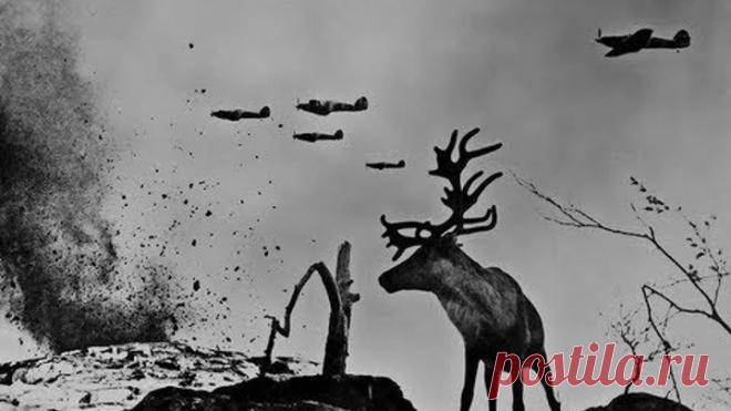 ЗА НЕПОКОРНОСТЬ МЕСТЬ