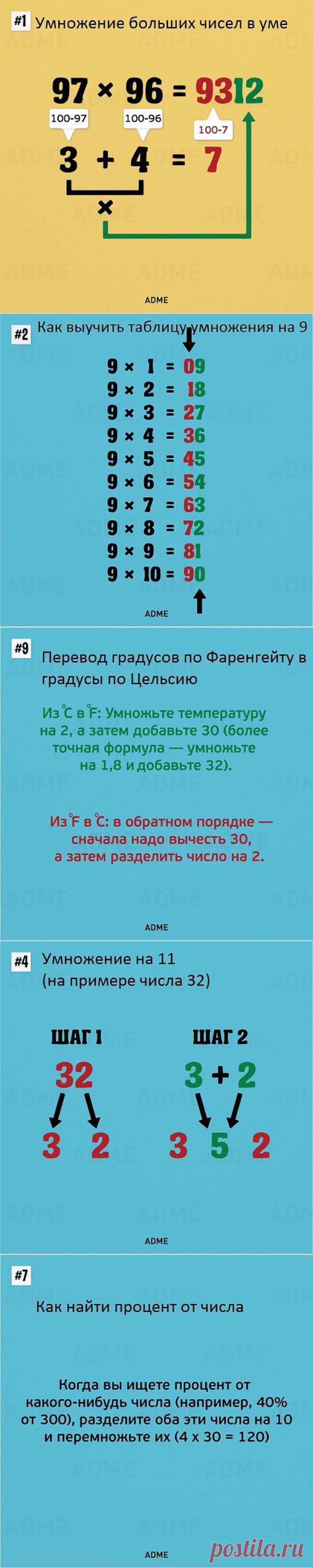 Такому в школе нас не учили. А жаль!
