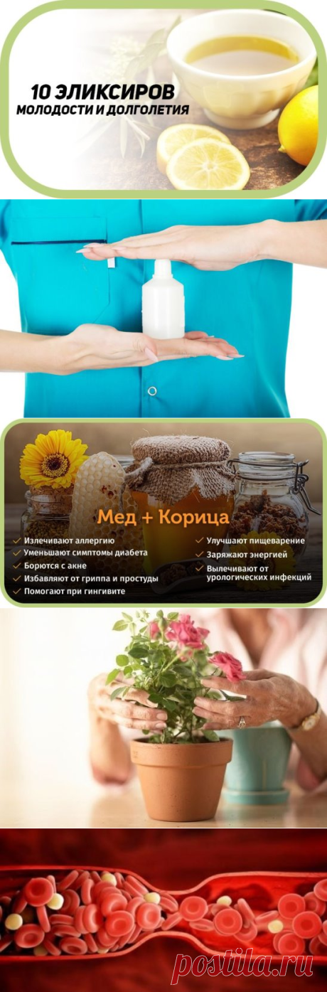 Здоровье Инфо 🍀 🍀 🍀 💗 🍀 🍀 🍀