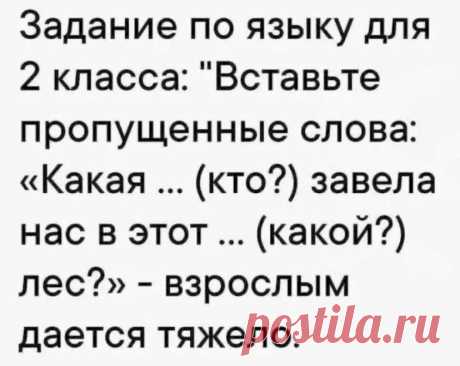 Выпуск №6696 - выпуск анекдотов сайта вокруг смеха