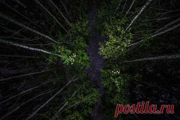 «Звёздные реки». Фото сделала Natalya Shulgina ( рядом с селом Мокша, Самарская область. Доброй ночи!