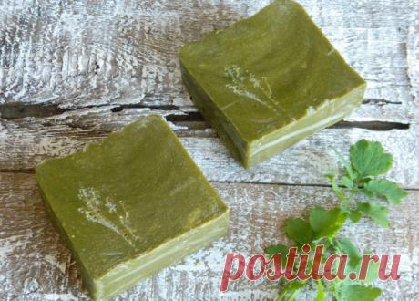 «ХЛОРОФИЛЛИПТ»: ЦЕНА ВОПРОСА — КОПЕЙКИ! 15 ПРОВЕРЕННЫХ ВРЕМЕНЕМ РЕЦЕПТОВ – БУДЬ В ТЕМЕ