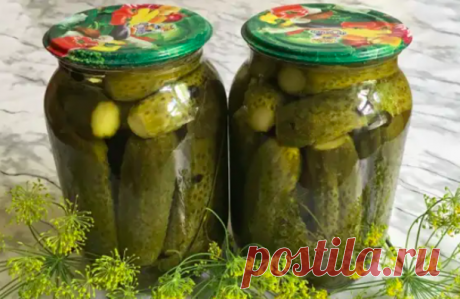 Как правильно замариновать огурцы, которые не «взорвутся» – БУДЬ В ТЕМЕ