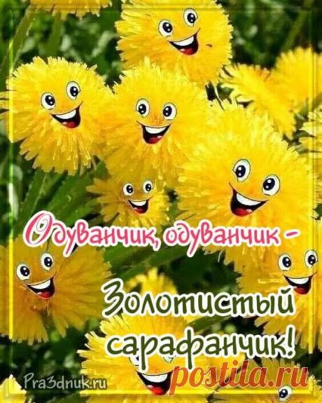 Со Всемирным днем одуванчика! Пусть солнце светит всегда! Открытки на Всемирный день одуванчика!