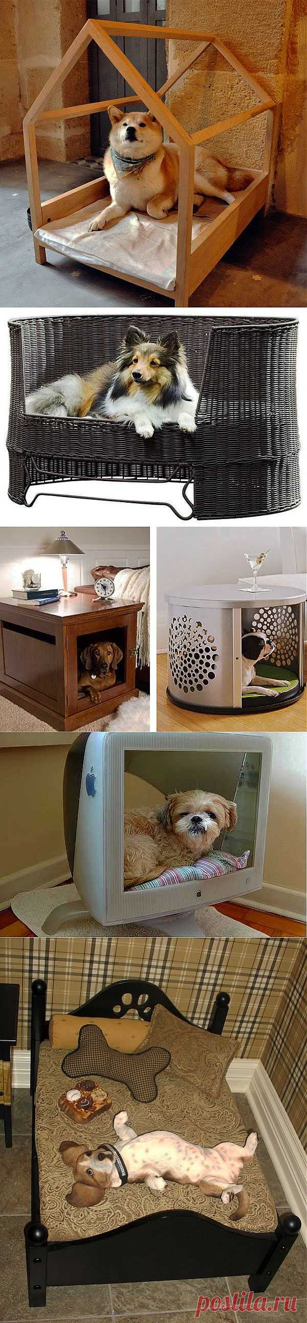 Необычные лежанки и домики для собак в интерьере на InfoHome.com.ua