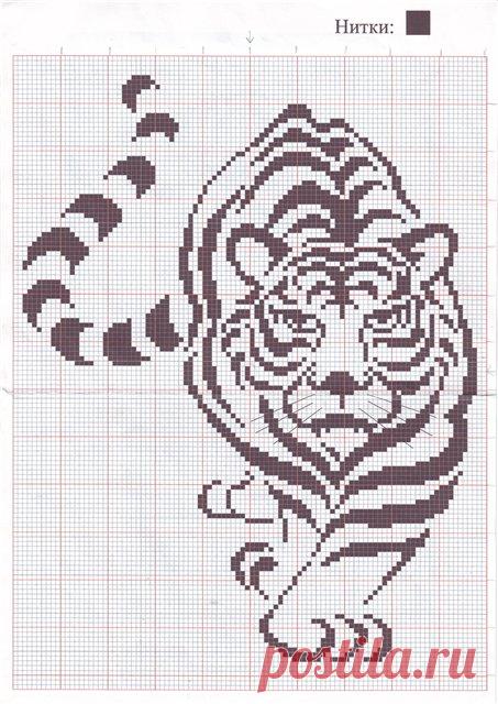 Радикал-Фото: Картинка