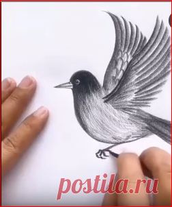 Рисунок карандашом