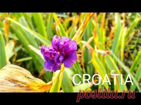 Риека-опасная семейная прогулка Смотри под ноги,беги быстрее