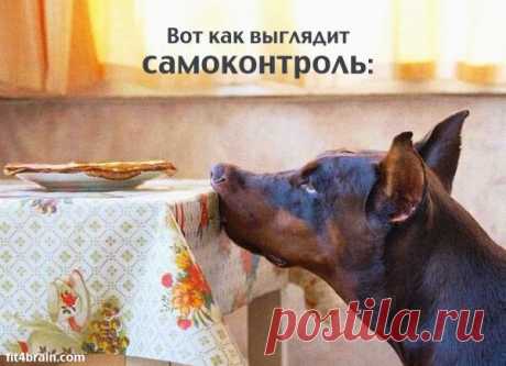 (+1) тема - Карточки хорошего настроения | Полезные советы