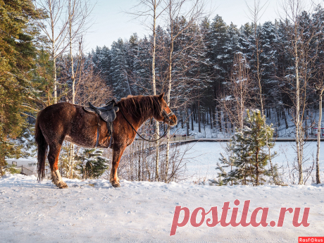 Фотограф Айдар Камилевич. Природа. Фотосайт Расфокус.ру