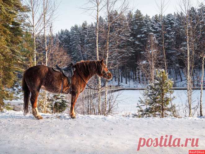 Фотограф Айдар Камилевич. Природа. Фотосайт Расфокус.ру