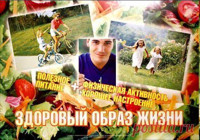 Как суконщики чистят сукно, выбивая его от пыли, так гимнастика очищает организм. - Гиппократ