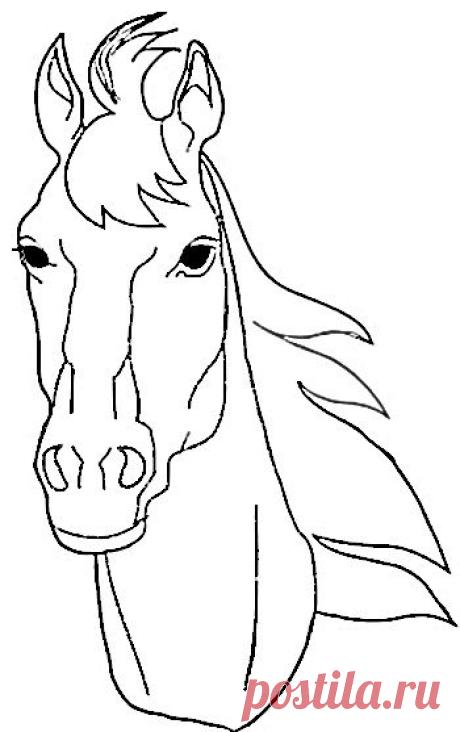 Horse Coloring Pages