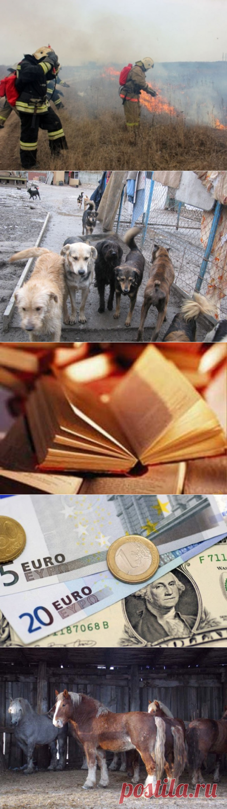 Новости Забайкалья. Термоточки. Шерсть летит! Книга о смерти. Олигархи МО. Тяжеловозы. Экспресс-новости - 22 Марта 2016 - Russia-Asia-Siberia