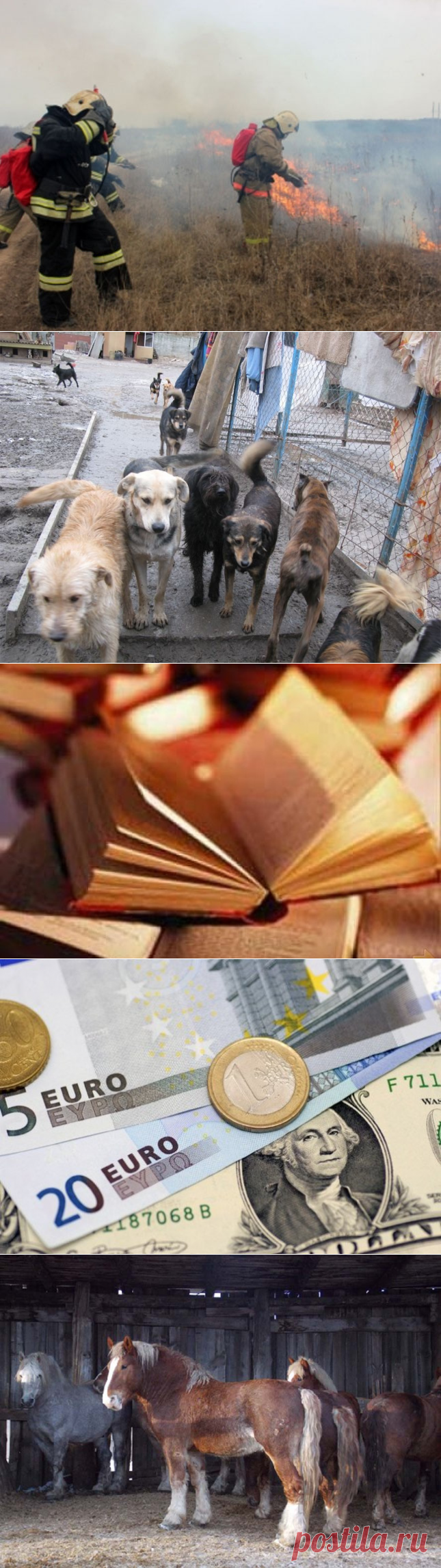 Новости Забайкалья. Термоточки. Шерсть летит! Книга о смерти. Олигархи МО. Тяжеловозы. Экспресс-новости - 22 Марта 2016 - Russia-Asia-Siberia