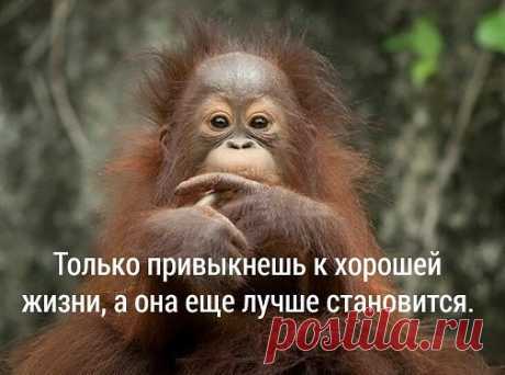 Одноклассники