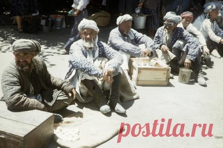 1959. Харрисон Форман в Самарканде. Часть 1: humus — ЖЖ