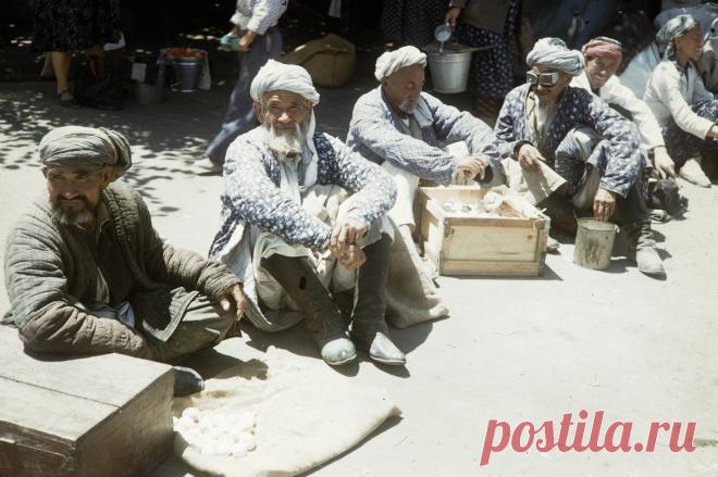 1959. Харрисон Форман в Самарканде. Часть 1: humus — ЖЖ