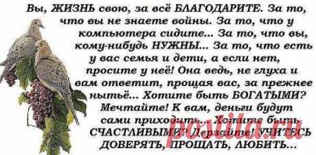 (50) Одноклассники