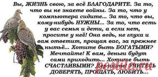 (50) Одноклассники