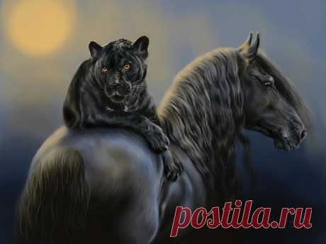 black by Animal75Artist on DeviantArt