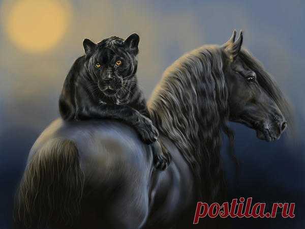 black by Animal75Artist on DeviantArt