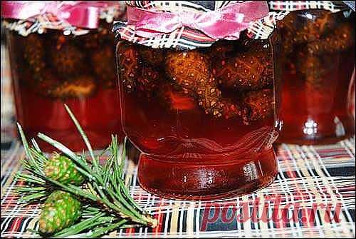 ВАРЕНЬЕ ИЗ ЕЛОВЫХ ШИШЕК