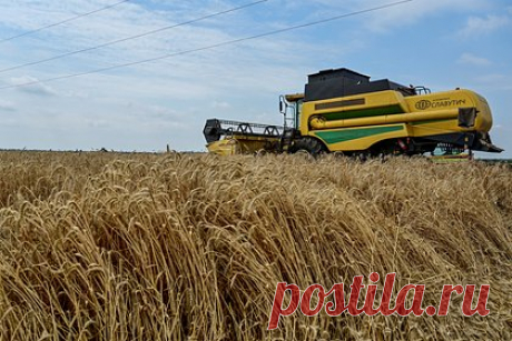 Замглавы МИД России рассказал о переговорах по возобновлению зерновой сделки. Переговоры по возобновлению зерновой сделки в настоящее время не ведутся. Об этом заявил замглавы МИД России Сергей Вершинин. Он также рассказал, что большая часть вывозимого с Украины зерна является фуражным и кормовым, поэтому реализация сделки не может иметь отношение к борьбе с голодом.