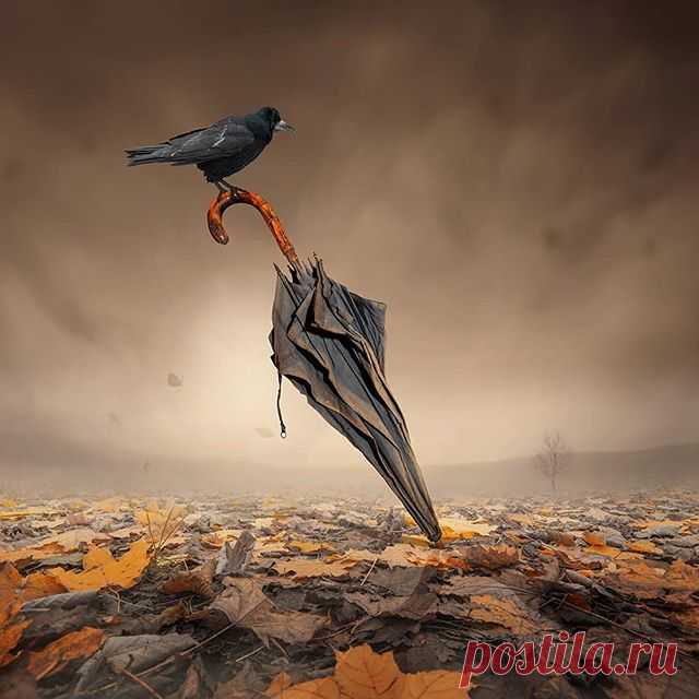 .
.
Осенний сплин

На мгновение луч проскользнёт, он рассеян и слеп.
След медового солнца покинет холодные стены.
Завершающий пазл прозаичней (банально нелеп);
Просто осень и сплин, осознание сущности бренной.

Опустевшему мне с этой каждой минутой сложней
Измерять все погонные метры шагами бессонно,
И немея взирать на сереющий ластик дождей
За окном, так безбожно стирающий скетч горизонта.

Даже небо подкожно и мертвенно-бледный свинец
Станет денно и нощно струиться отрав...