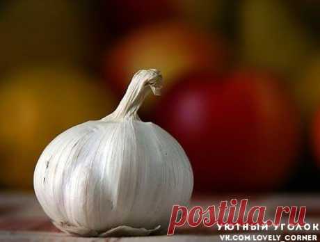 Уникальный рецепт восстановления суставов .