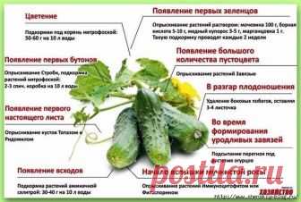 Почта Mail.Ru