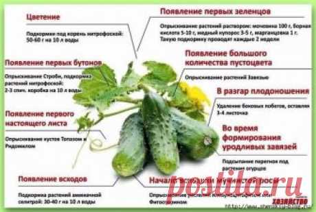 Почта Mail.Ru