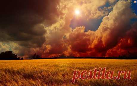 ДОЖДИНКИ ПЕРВЫЕ ДОЖДИНКИ ПЕРВЫЕ                                   
На солнце воздух раскалён, В закате молния блистает, В порыве ветра старый клён 
Устало голову склоняет. А там, где в дымке хвойный лес, Лохматых туч большая свора
Скрывает бирюзу небес, И гаснет луч последний скоро! Дождинки первые, стыдясь, Ложатся нежными мазками, И вот уже густая вязь Между землёй и облаками! Природы яростная мощь, На Землю молнии бросая, Бла...