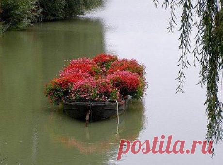 Цветочные фантазии