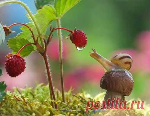 Алла Пушистая (Алусик) – Google+