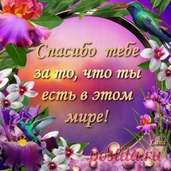 Открытки спасибо за ... дружбу, доброе сердце, поздравления - cтраница 6