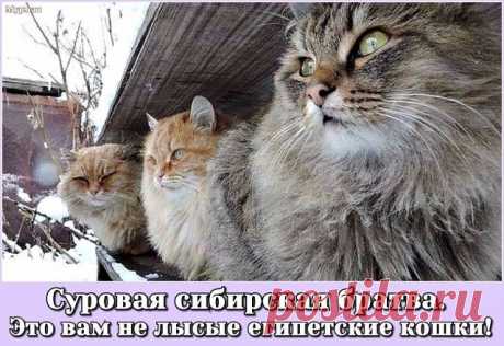 ...⇩⇩⇩...