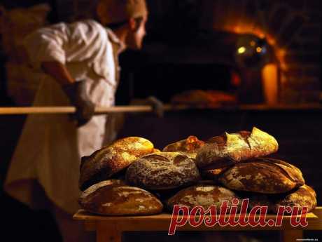 КАКИМ БЫЛ ХЛЕБ НАШИХ ПРЕДКОВЪ? И ПОЧЕМУ СОХА ЛУЧШЕ ПЛУГА ?!

#ВЪДИ #Исторiя #Человъкъ #Образованiе #Питаніе #Растенія #Народъ #Книгi

Хлеб не всегда был таким, каким его делают сегодня. Наши с вами прабабушки пекли другой хлеб. У наших предков он был целебным, представляете?! А так как многие пока ещё не представляют, то мы вам расскажем. А начать нам придётся с самого начала.
Показать полностью…
