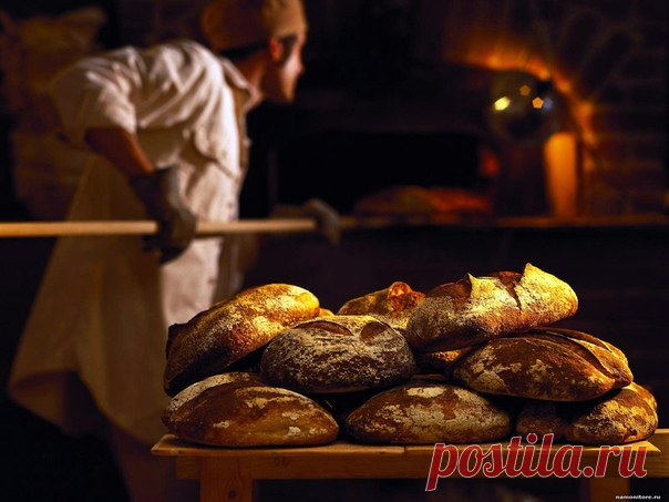 КАКИМ БЫЛ ХЛЕБ НАШИХ ПРЕДКОВЪ? И ПОЧЕМУ СОХА ЛУЧШЕ ПЛУГА ?!

#ВЪДИ #Исторiя #Человъкъ #Образованiе #Питаніе #Растенія #Народъ #Книгi

Хлеб не всегда был таким, каким его делают сегодня. Наши с вами прабабушки пекли другой хлеб. У наших предков он был целебным, представляете?! А так как многие пока ещё не представляют, то мы вам расскажем. А начать нам придётся с самого начала.
Показать полностью…