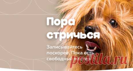 Красота от &quot;ГрумЛюкс&quot; - несомненно это плюс!